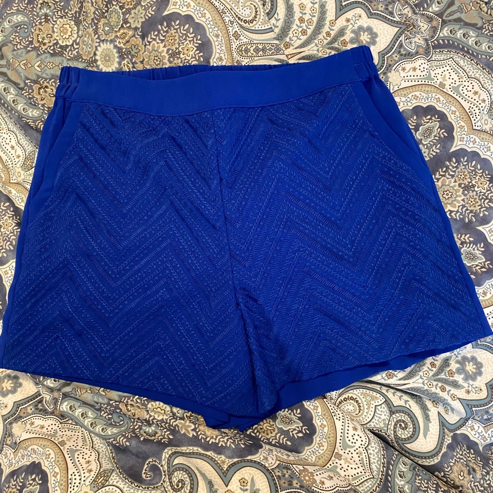 Skies and Blue Textured Shorts